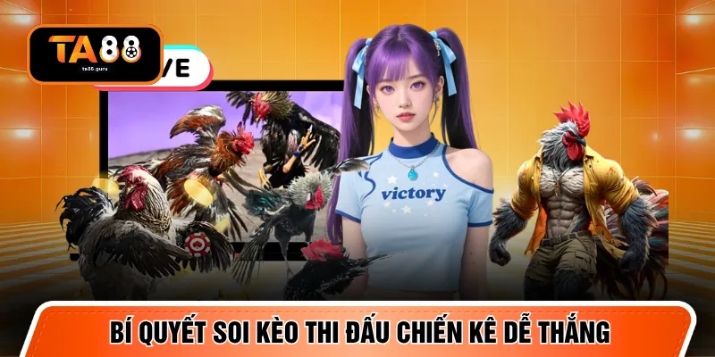 Bí quyết soi kèo thi đấu chiến kê dễ thắng
