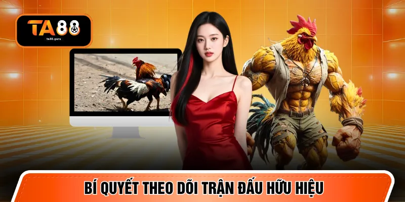 Bí quyết theo dõi trận đấu hữu hiệu