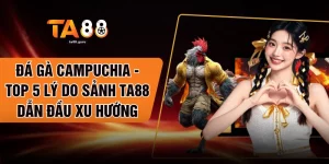 Đá Gà Campuchia - Top 5 Lý Do Sảnh TA88 Dẫn Đầu Xu Hướng