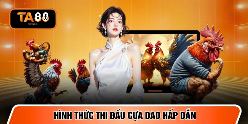 Hình thức thi đấu cựa dao hấp dẫn