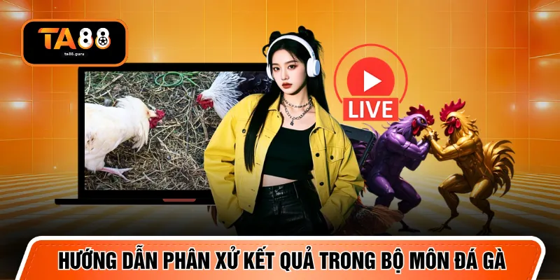 Hướng dẫn phân xử kết quả trong bộ môn đá gà