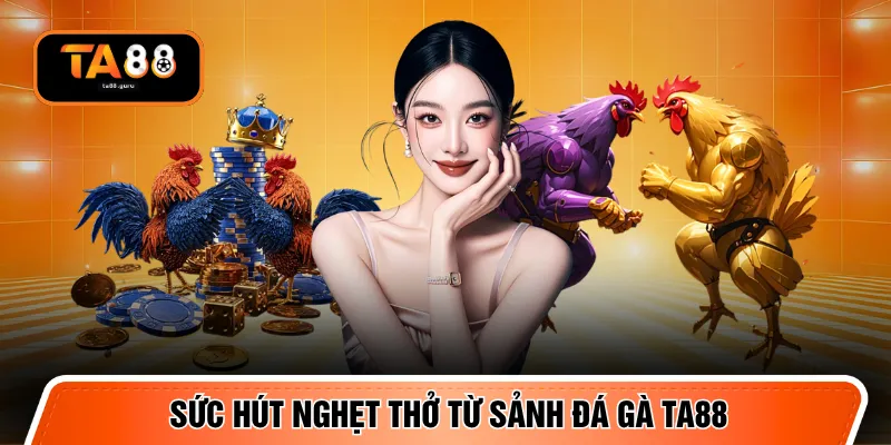 Sức hút nghẹt thở từ sảnh đá gà TA88