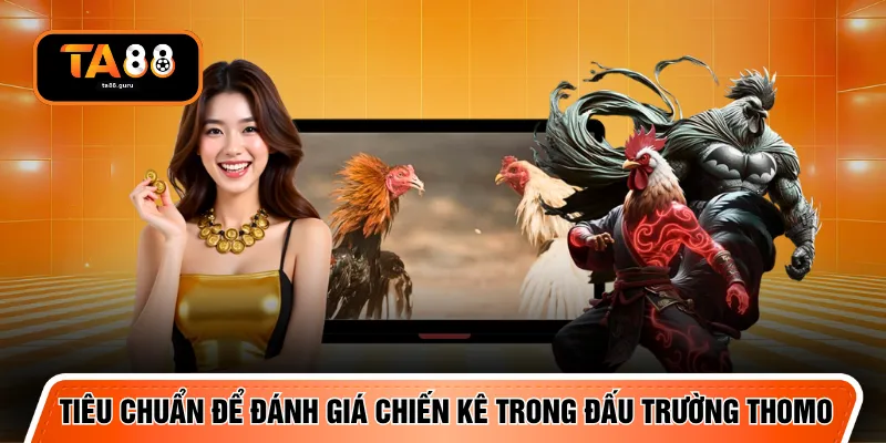 Tiêu chuẩn để đánh giá chiến kê trong đấu trường Thomo